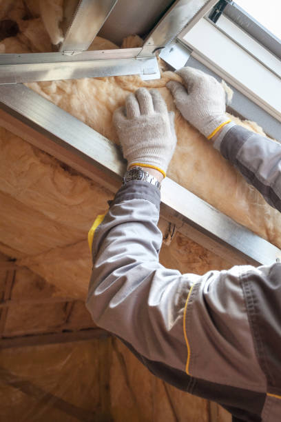Best Types of Insulation in Clermont, FL