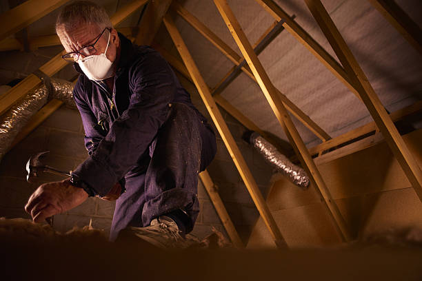 Best Insulation Materials and Products in Clermont, FL